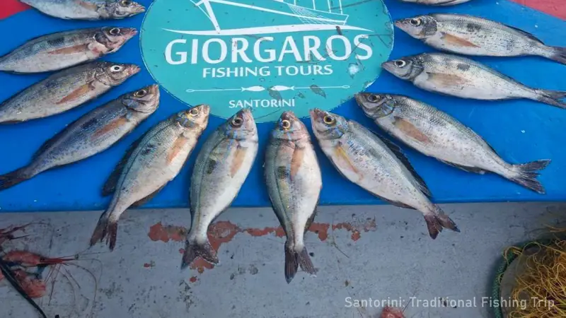 Santorini Traditional Boat Tour on a Wooden Caique — photo from the booking listing